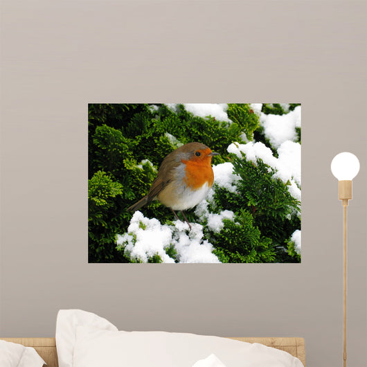 Robin Wall Decal