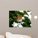 Robin Wall Decal