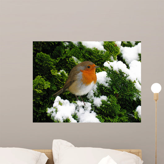 Robin Wall Decal