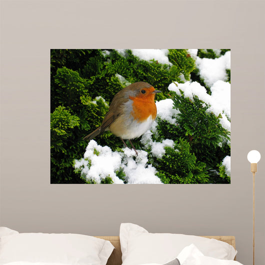 Robin Wall Decal