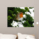 Robin Wall Decal