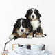 Couple Puppies Bernese Mountain Wall Decal