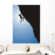 Free Climbing  Wall Decal