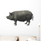 English Pork Wall Decal
