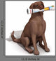 Perro Con El Peridico Wall Decal