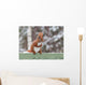 Red Squirrel Sitting Green Wall Decal