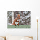 Red Squirrel Sitting Green Wall Decal