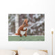 Red Squirrel Sitting Green Wall Decal