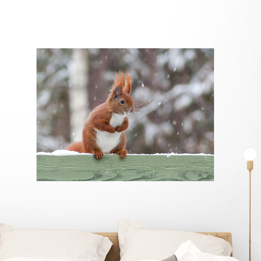 Red Squirrel Sitting Green Wall Decal