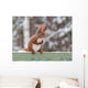 Red Squirrel Sitting Green Wall Decal