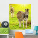 Wild Zebras African Continent Wall Decal