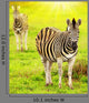 Wild Zebras African Continent Wall Decal
