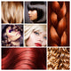 Hair Collage Hairstyles Wall Decal
