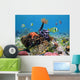 Green Turtle with Colorful Wall Decal