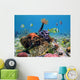 Green Turtle with Colorful Wall Decal