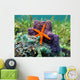 Sea Star and Sponges Wall Decal