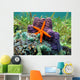 Sea Star and Sponges Wall Decal