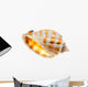 Shell Wall Decal
