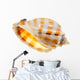 Shell Wall Decal