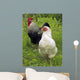 Rooster and Hen Wall Decal