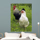 Rooster and Hen Wall Decal