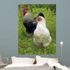 Rooster and Hen Wall Decal