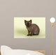 Burmese Kitten 19070 Wall Decal