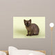 Burmese Kitten 19070 Wall Decal