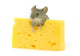 Mouse and Cheese Wall Decal
