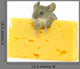 Mouse and Cheese Wall Decal