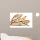 Family Lizards Wall Decal