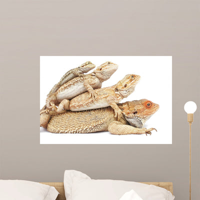 Family Lizards Wall Decal shown on a wall
