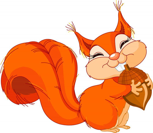 Squirrel with Nut Wall Decal