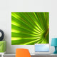 Palm Leaf Wall Decal