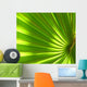 Palm Leaf Wall Decal