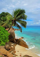 Plage Sauvage Des Ctes Wall Decal