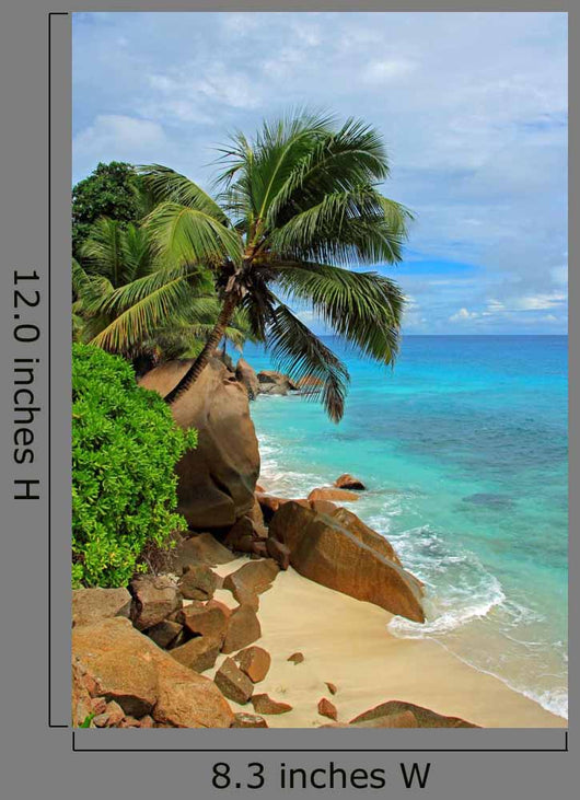 Plage Sauvage Des Ctes Wall Decal