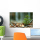 Solitary Shrub Fall Leaves Wall Decal