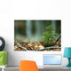 Solitary Shrub Fall Leaves Wall Decal