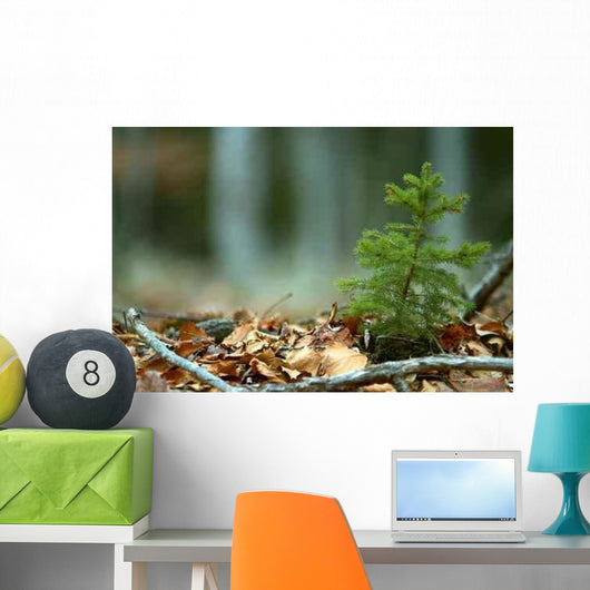 Solitary Shrub Fall Leaves Wall Decal