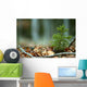 Solitary Shrub Fall Leaves Wall Decal