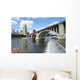 Great Bride Stretching across Wall Decal