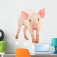 Pig Wall Decal
