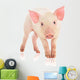 Pig Wall Decal