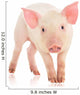 Pig Wall Decal