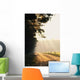 Streaming Sunlight Wall Decal