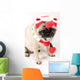 Christmas Pug Sticking Her Wall Decal