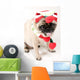 Christmas Pug Sticking Her Wall Decal