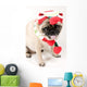 Christmas Pug Sticking Her Wall Decal