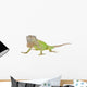 Iguana Iguana White Wall Decal